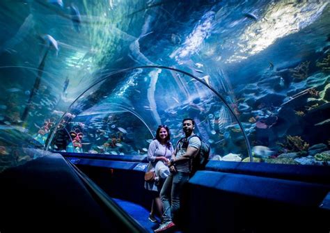 sea life aquarium istanbul tickets